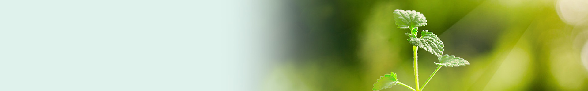 常州市科润达智能机器有限公司